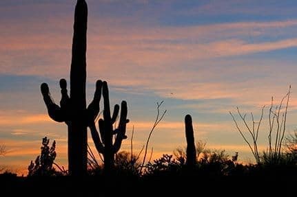 Beautiful Sunset in Catalina Foothills Tucson Arizona
