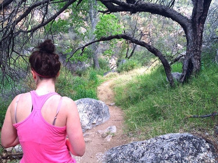 Pima Canyon Hiking Trail Outdoors Tucson, Catalina Foothills AZ