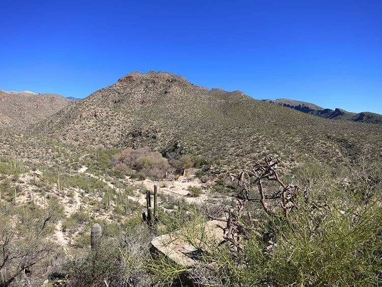 Sabino Canyon Cactus Outdoors Mountains Trail Tucson, Catalina Foothills AZ